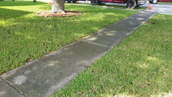 driveway-sidewalk-clean-2-20201011 100931
