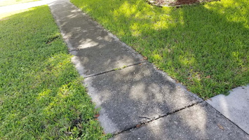 driveway-sidewalk-clean-2-20201011 100956