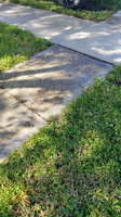 driveway-sidewalk-clean-2-20201011 105955