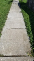 driveway-sidewalk-clean-2-20201011 113748